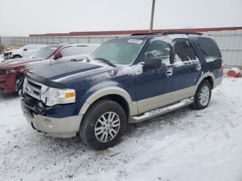  Salvage Ford Expedition