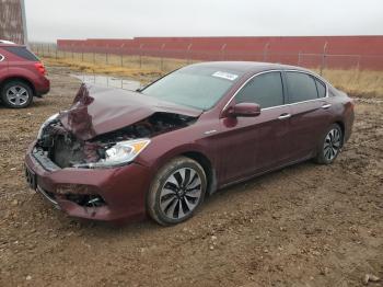  Salvage Honda Accord