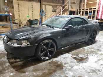  Salvage Ford Mustang