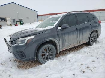  Salvage Subaru Forester