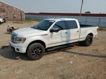  Salvage Ford F-150
