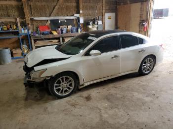  Salvage Nissan Maxima