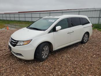  Salvage Honda Odyssey
