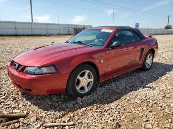 Salvage Ford Mustang