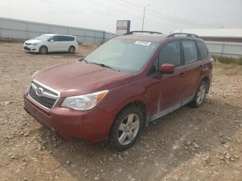  Salvage Subaru Forester