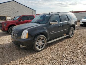  Salvage Cadillac Escalade