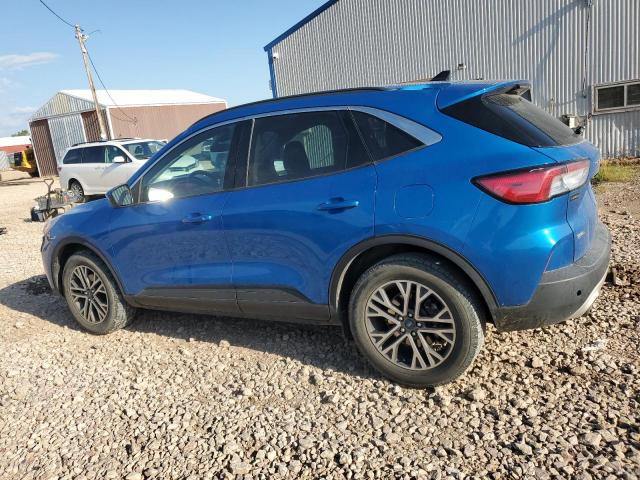 Ford Escape Sel Image 5