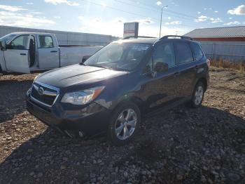  Salvage Subaru Forester