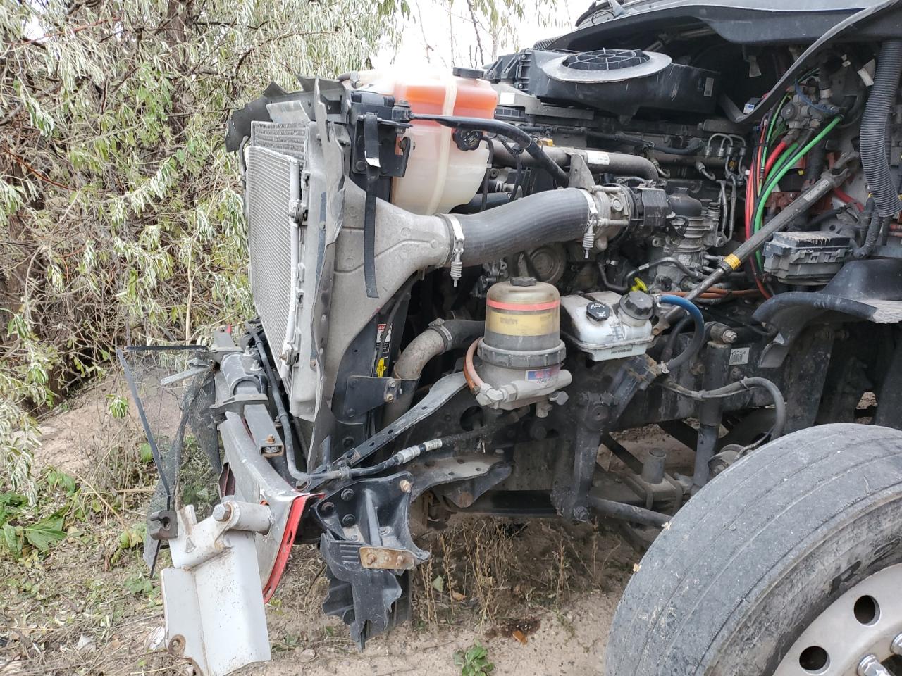 Freightliner Cascadia 1 Image 5