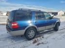 Ford Expedition Eddie Bauer Image 3