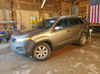  Salvage Kia Sorento