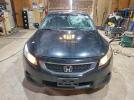 Honda Accord Exl Image 12