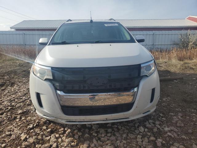 Ford Edge Limited Image 4