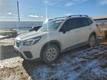  Salvage Subaru Forester